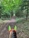 IMG_3898.jpeg IMG_3898.jpeg