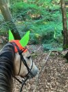 IMG_3914.jpeg IMG_3914.jpeg