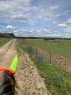 IMG_3923.jpeg