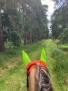 IMG_3935.jpeg