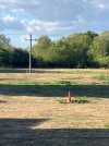 IMG_3660.jpeg