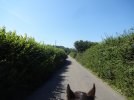 DSC01838.JPG