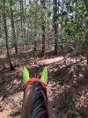 IMG_4333.jpeg