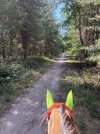 IMG_4335.jpeg
