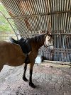 IMG_4336.jpeg