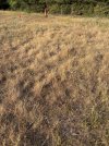 IMG_4347.jpeg