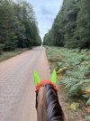 IMG_4358.jpeg