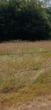 20260718_142236(1).jpg