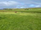 IMG_3978.jpeg