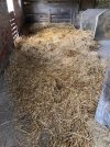 IMG_3971.jpeg IMG_3971.jpeg