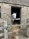 IMG_3970.jpeg IMG_3970.jpeg