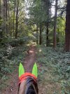 IMG_4372.jpeg