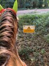 IMG_4373.jpeg