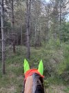 IMG_4377.jpeg