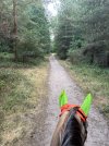 IMG_4379.jpeg