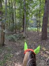 IMG_4386.jpeg
