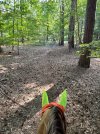 IMG_4388.jpeg