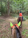 IMG_4391.jpeg