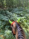 IMG_4400.jpeg