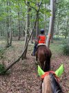 IMG_4401.jpeg