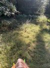 IMG_4430.jpeg