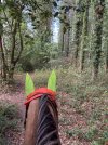 IMG_4449.jpeg