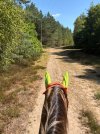 IMG_4454.jpeg