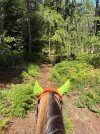 IMG_4457.jpeg