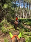 IMG_4460.jpeg