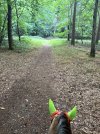IMG_4495.jpeg