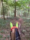 IMG_4497.jpeg