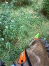IMG_4498.jpeg