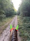 IMG_4513.jpeg