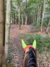 IMG_4516.jpeg