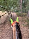 IMG_4520.jpeg