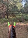 IMG_4527.jpeg