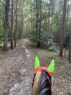IMG_4530.jpeg