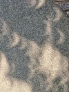 20260812_192838.jpg