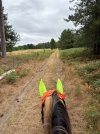 IMG_4547.jpeg