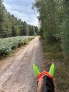 IMG_4688.jpeg