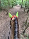 IMG_4690.jpeg