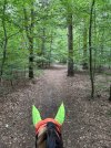 IMG_4691.jpeg