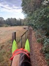 IMG_4714.jpeg