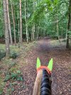 IMG_4715.jpeg