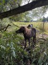IMG_4730.jpeg IMG_4730.jpeg