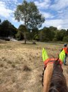 IMG_4739.jpeg