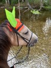IMG_4742.jpeg