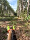 IMG_4743.jpeg