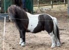IMG_4746.jpeg