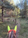 IMG_4759.jpeg